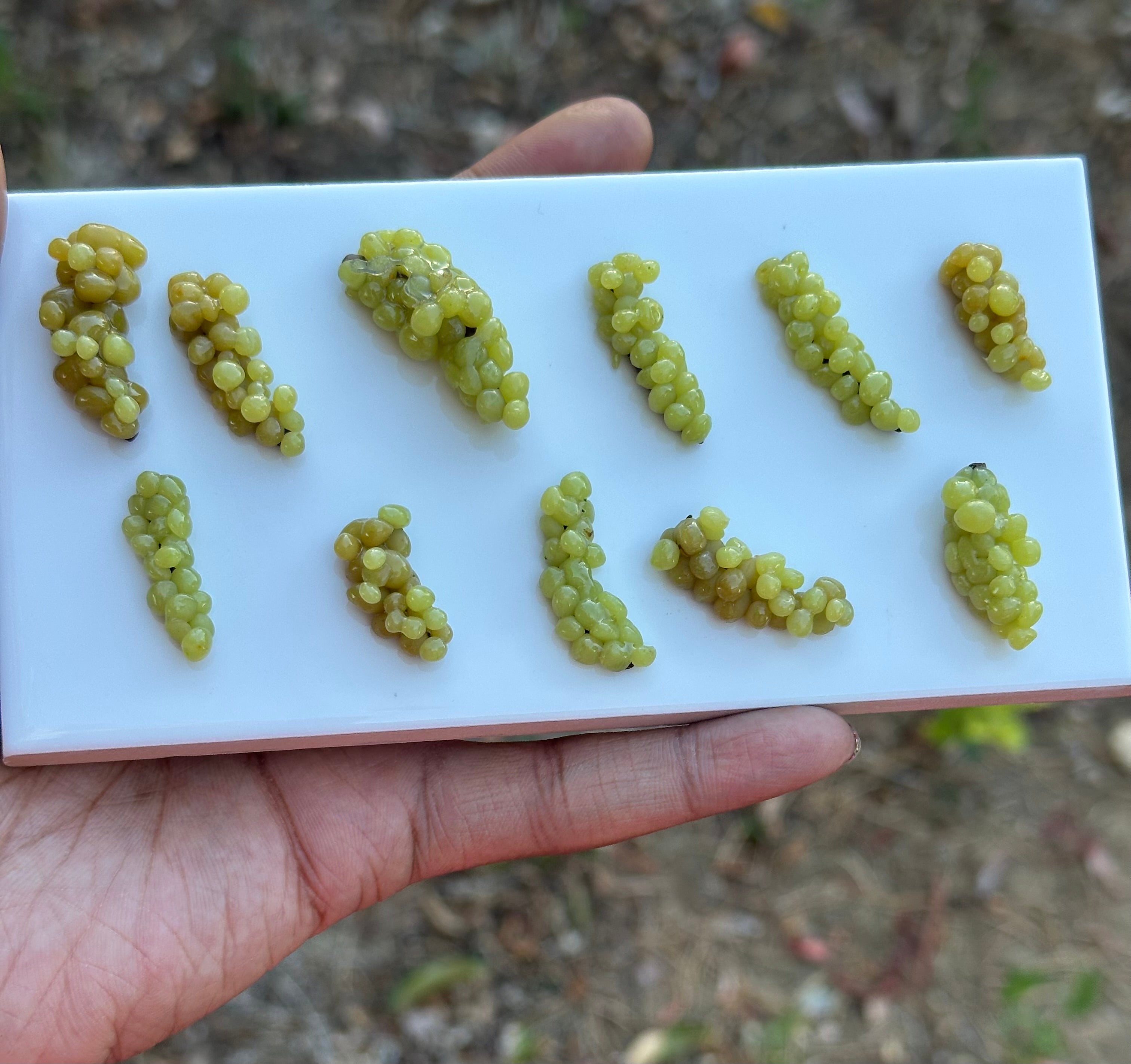 Miniature grapes ( 1 )