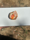 Miniature Danish with Ham and Egg