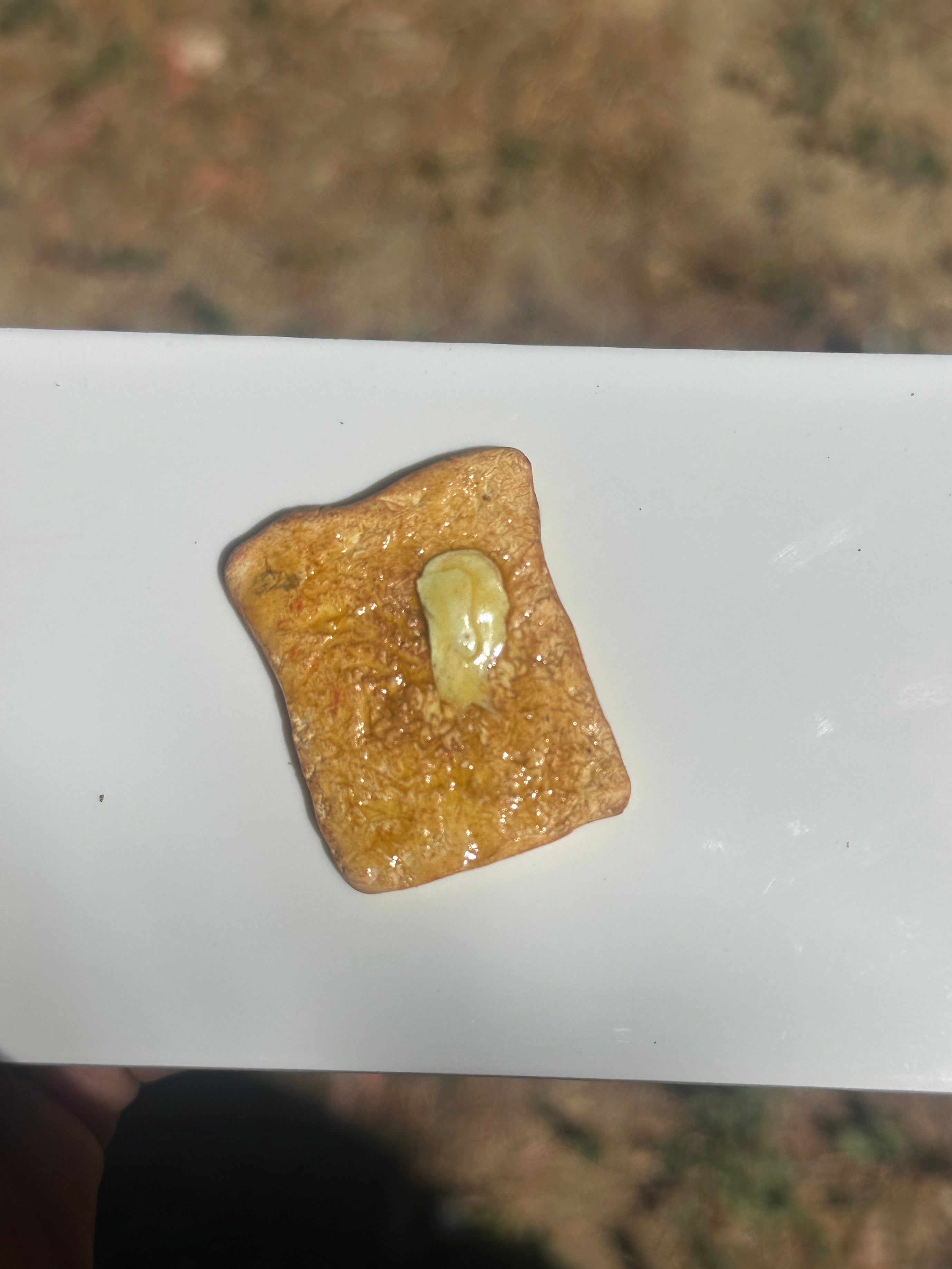 Miniature Toast